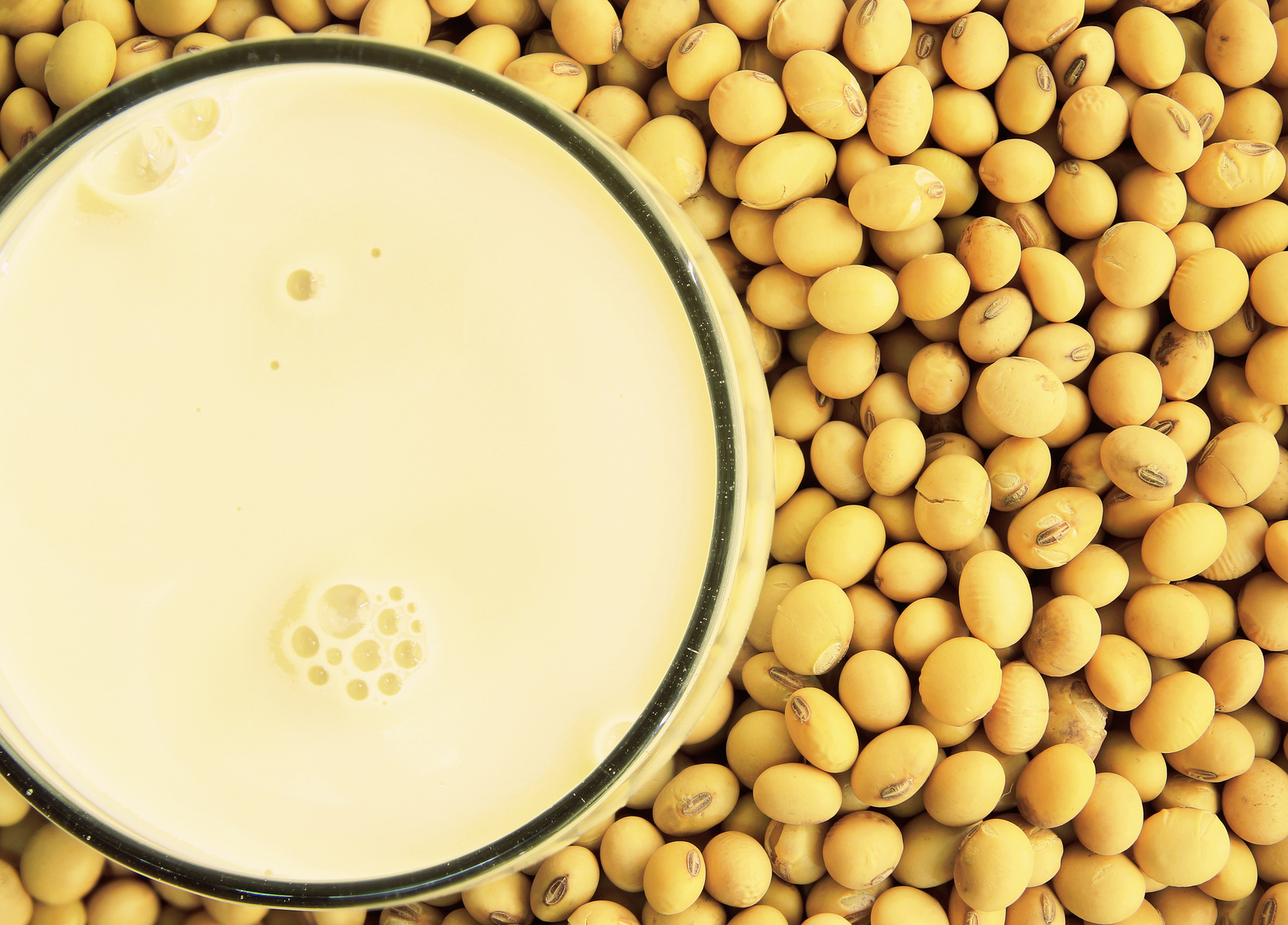 Allergie au soja et autres légumineuses | OPA Pratique