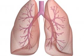 Asthme éosinophilique sévère corticodépendant – Résultats de l’étude PONENTE