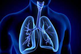 Importance de l’évaluation de la déposition pulmonaire des trithérapies 