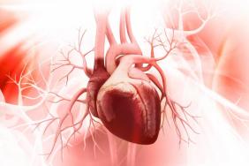 BPCO, l’association budésonide/glycopyrrolate/formotérol fumarate réduit le risque cardiovasculaire 