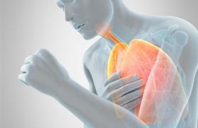 BPCO, le bisoprolol n’a pas d’effet sur les exacerbations