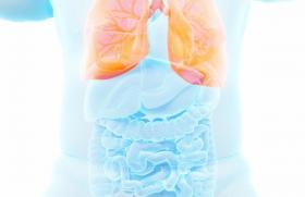 Comment la bronchiolite fait le lit de l’asthme