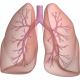 Asthme éosinophilique sévère corticodépendant – Résultats de l’étude PONENTE