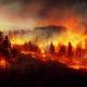 Les incendies de forêts font flamber les BPCO