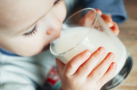 L’allergie au lait de vache