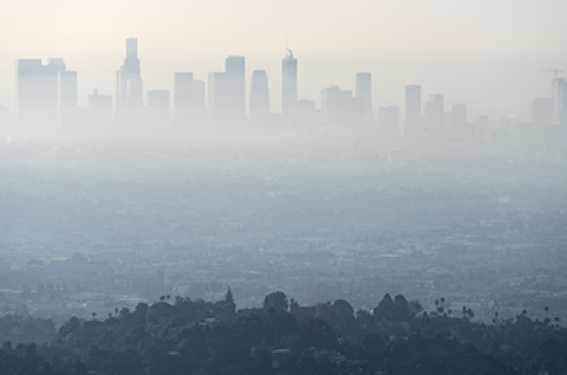 Asthme : quel impact de la pollution atmosphérique ?