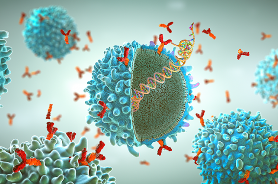 Les réactions locorégionales aux venins d’hyménoptères peuvent-elles relever d’un traitement par immunothérapie spécifique ?