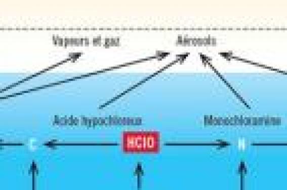 Asthme, irritation, peau : attention au chlore des piscines